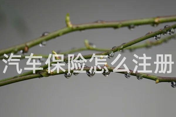 汽车保险怎么注册