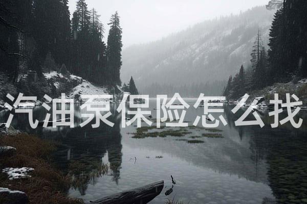 汽油泵保险怎么找