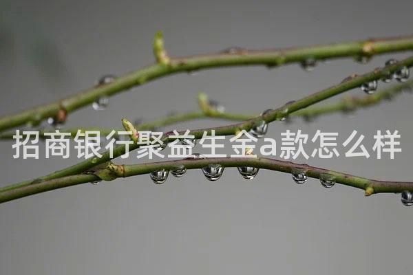 招商银行聚益生金a款怎么样