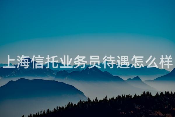 上海信托业务员待遇怎么样