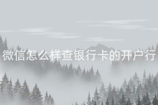 微信怎么样查银行卡的开户行