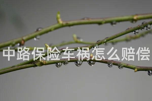 中路保险车祸怎么赔偿