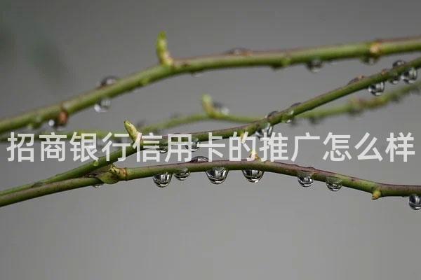 招商银行信用卡的推广怎么样