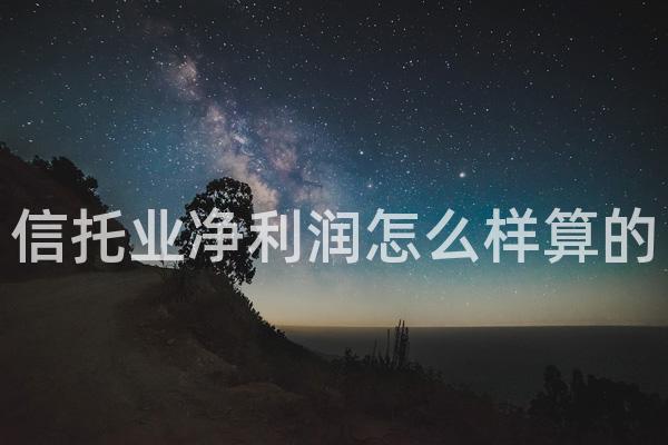 信托业净利润怎么样算的