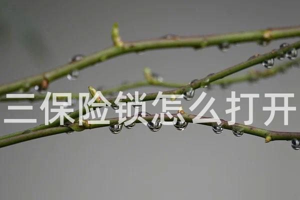 三保险锁怎么打开