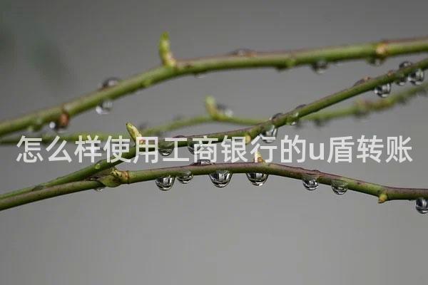 怎么样使用工商银行的u盾转账