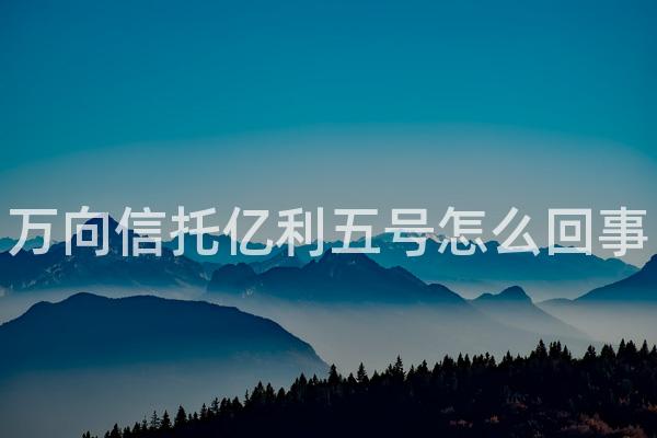 万向信托亿利五号怎么回事