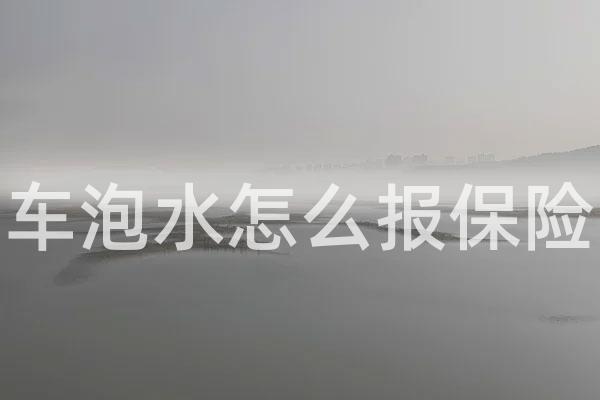 车泡水怎么报保险