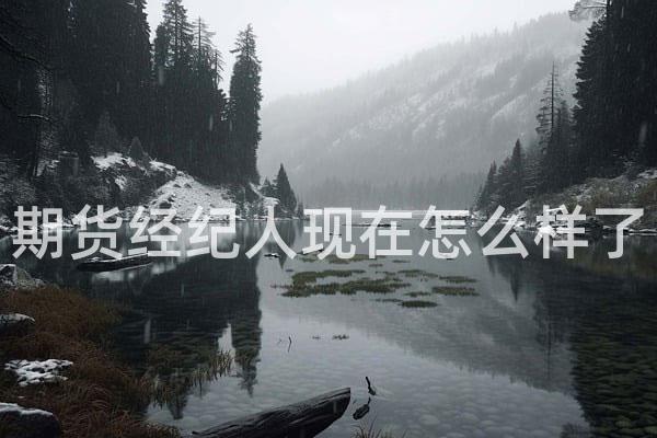 期货经纪人现在怎么样了