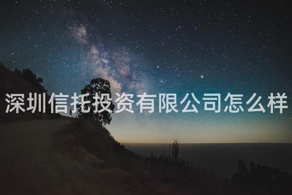 深圳信托投资有限公司怎么样