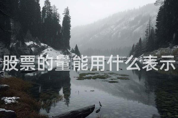 股票的量能用什么表示