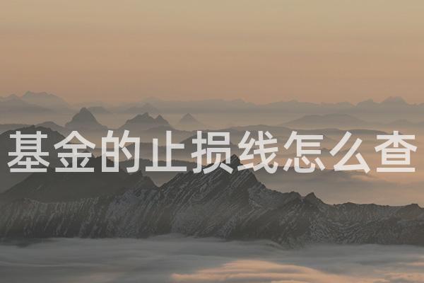 基金的止损线怎么查