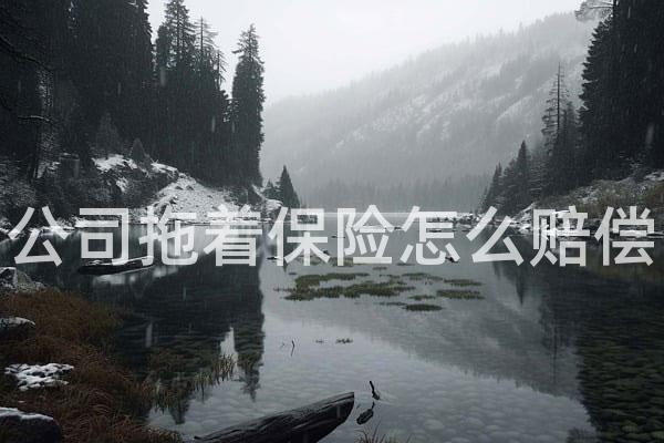 公司拖着保险怎么赔偿