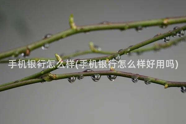 手机银行怎么样(手机银行怎么样好用吗)