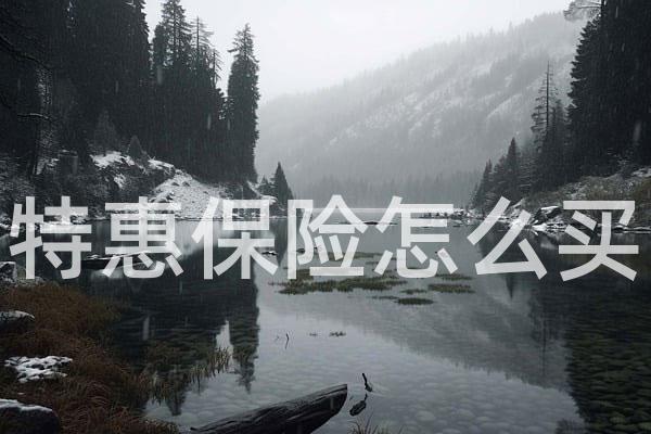 特惠保险怎么买