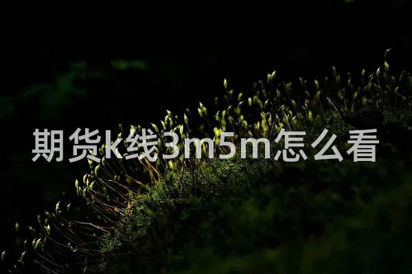 期货k线3m5m怎么看