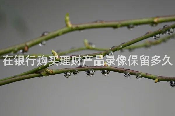 在银行购买理财产品录像保留多久