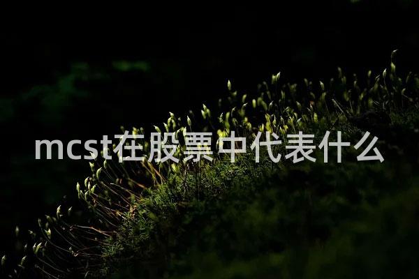 mcst在股票中代表什么