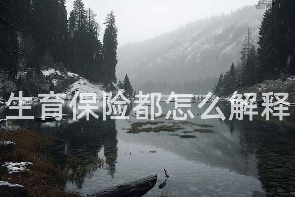 生育保险都怎么解释