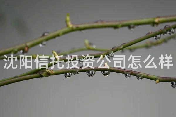 沈阳信托投资公司怎么样