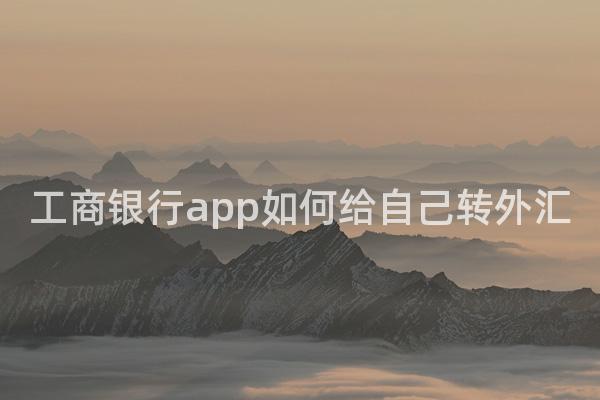 工商银行app如何给自己转外汇