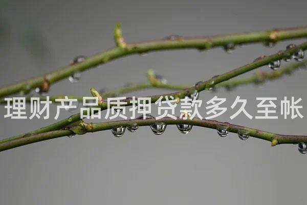 理财产品质押贷款多久至帐