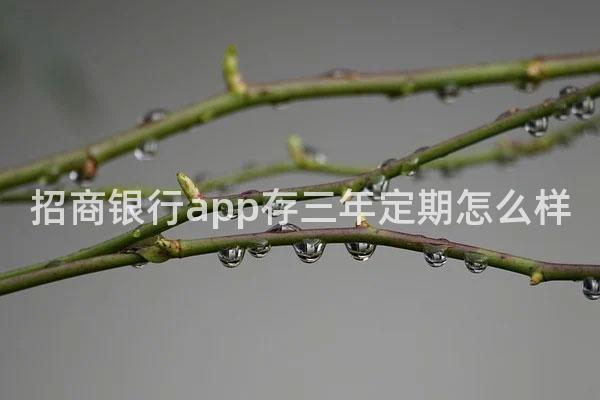 招商银行app存三年定期怎么样