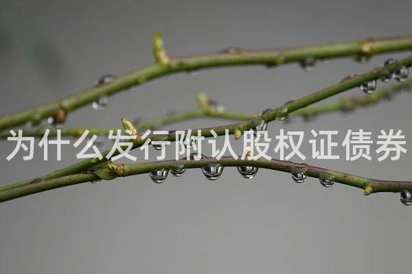 为什么发行附认股权证债券