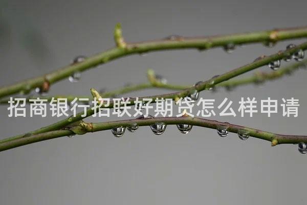 招商银行招联好期贷怎么样申请