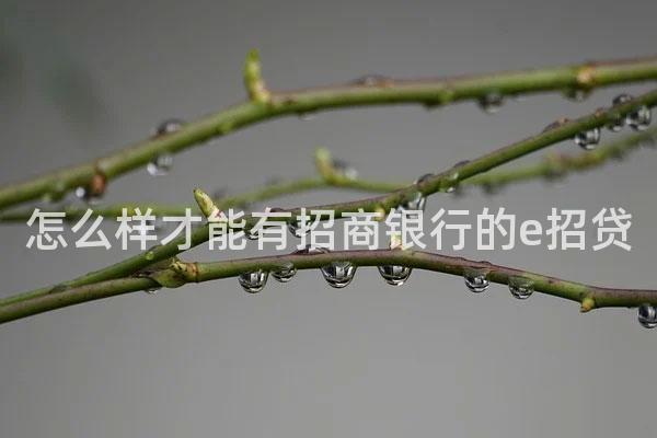 怎么样才能有招商银行的e招贷