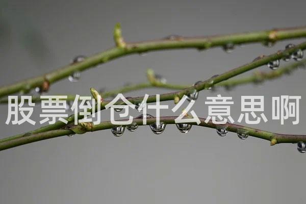 股票倒仓什么意思啊