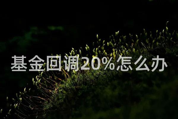 基金回调20%怎么办