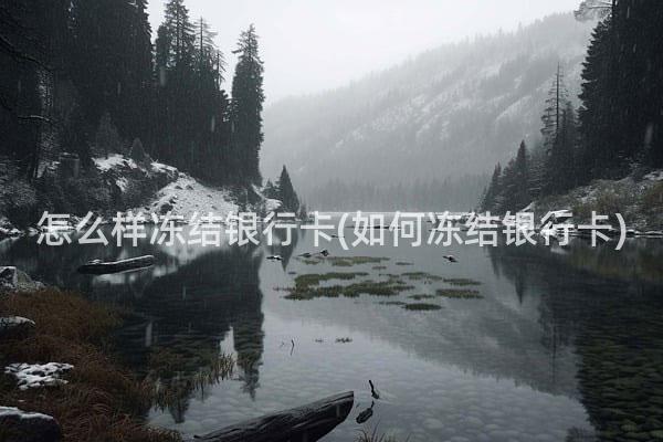 怎么样冻结银行卡(如何冻结银行卡)