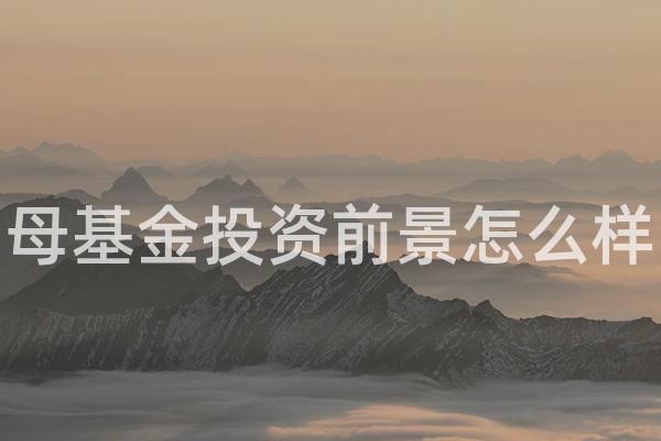 母基金投资前景怎么样