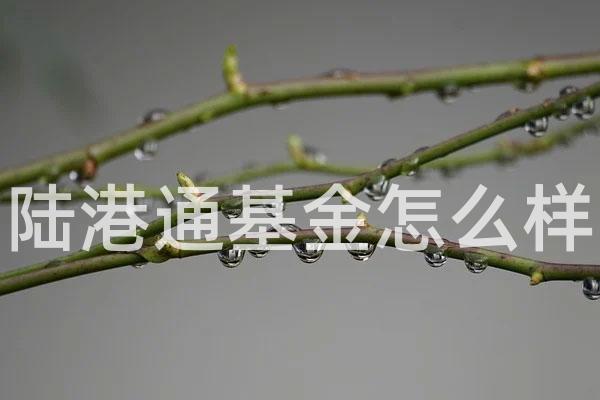 陆港通基金怎么样