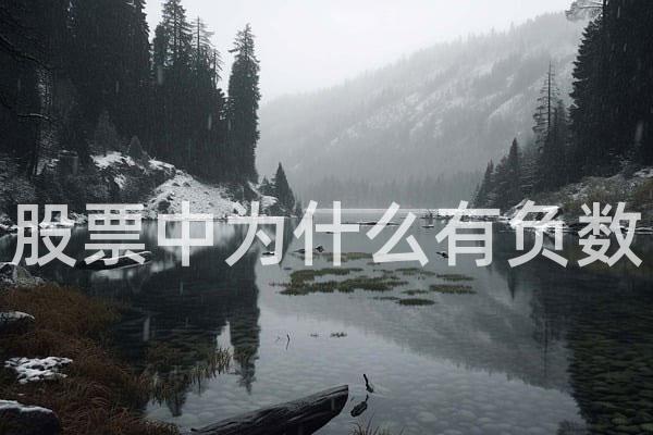 股票中为什么有负数