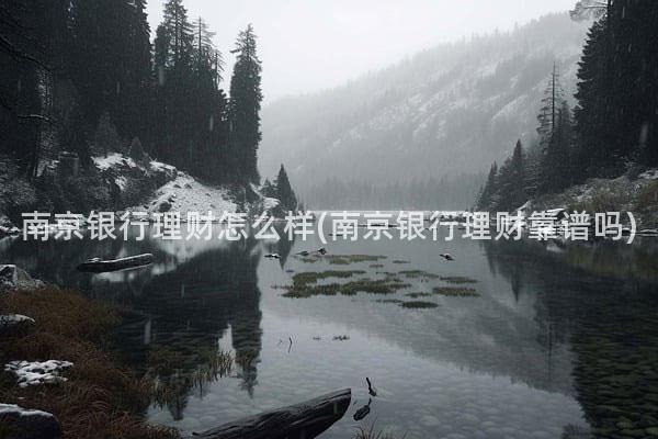 南京银行理财怎么样(南京银行理财靠谱吗)