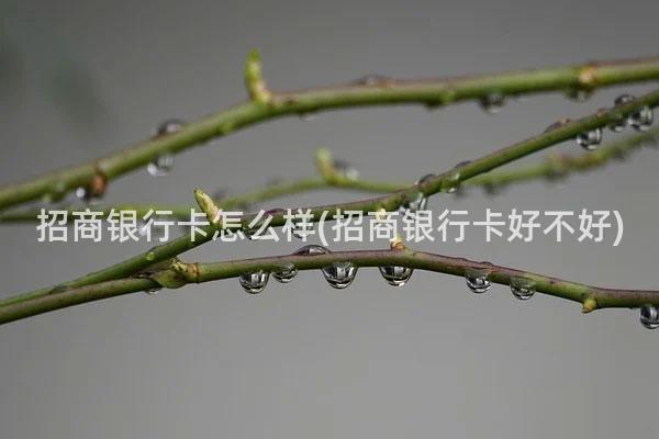 招商银行卡怎么样(招商银行卡好不好)