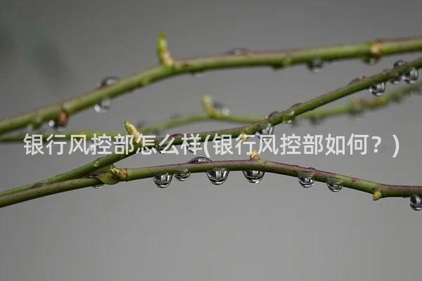 银行风控部怎么样(银行风控部如何？)