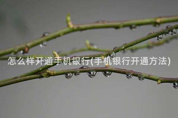 怎么样开通手机银行(手机银行开通方法)